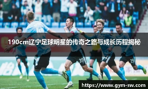 190cm辽宁足球明星的传奇之路与成长历程揭秘